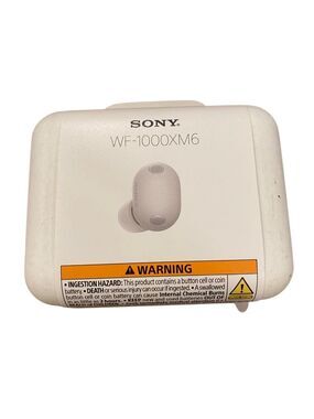 Sony WF-1000XM6 Platinum Silver Wireless Noise Canceling Earbuds New Sealed